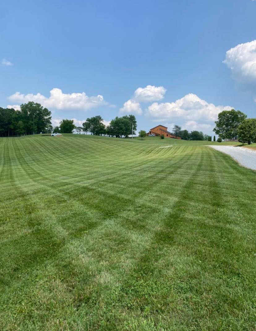 Aerial view of a freshly striped lawn leading up to a home and pool, transformed by Complete Property Management